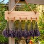 Herb And Flower Drying Rack, thumbnail 1 of 6