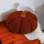 Boucle Autumn Pumpkin Decor / Cushion, thumbnail 10 of 10