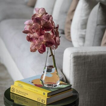 Magenta Haze Vanda Orchid Flowers, 3 of 3