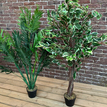 Artificial Palm And Ficus Tree Pair, 3 of 6