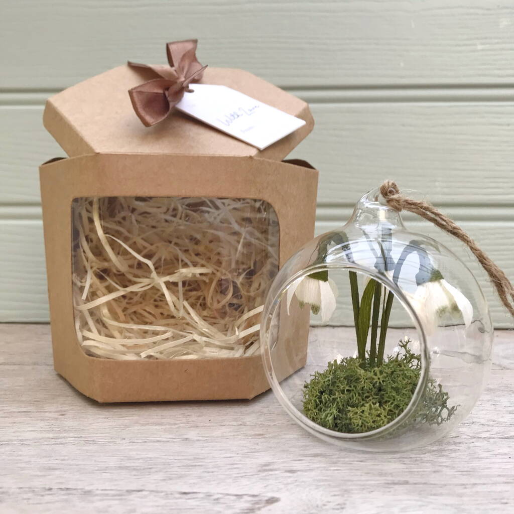 Paper Snowdrop Tiny Terrarium With Gift Tag And Box, 1 of 11