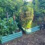 Pair Of Sage Green Vegetable And Herb Raised Beds, thumbnail 3 of 5