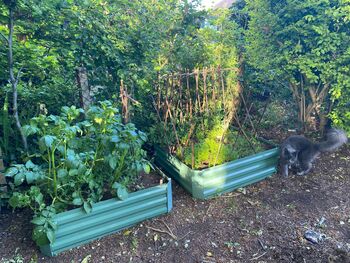 Pair Of Sage Green Vegetable And Herb Raised Beds, 3 of 5
