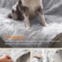 Waterproof Dog Blanket Plush Pet Throw Cover, thumbnail 6 of 6