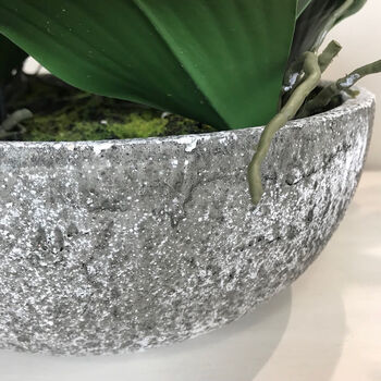 Orchid Phalaenopsis Plants In Stone Look Bowl, 4 of 4
