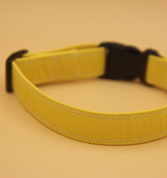Yellow Dog Collar, 3 of 10