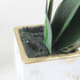 Marble Potted Artificial Orchid Two Sizes, thumbnail 5 of 5