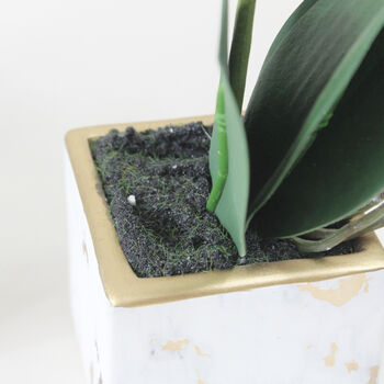 Marble Potted Artificial Orchid Two Sizes, 5 of 5