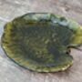 Green Alchemille Leaf Plate, 18cm, thumbnail 3 of 4