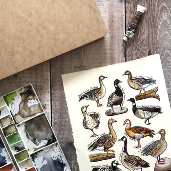Geese Of Britain Greeting Card, 3 of 7