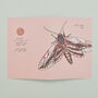Pack Of Eight Greeting Cards Of British Insects, thumbnail 4 of 9