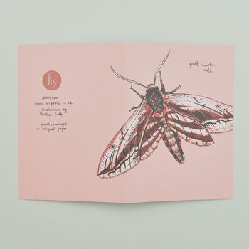 Pack Of Eight Greeting Cards Of British Insects, 4 of 9