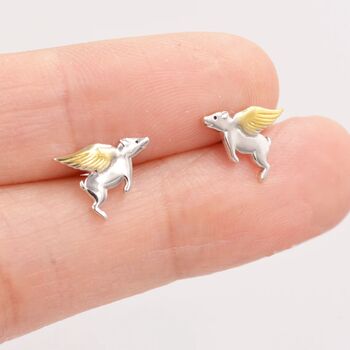 Flying Pig Stud Earrings In Sterling Silver, 4 of 11