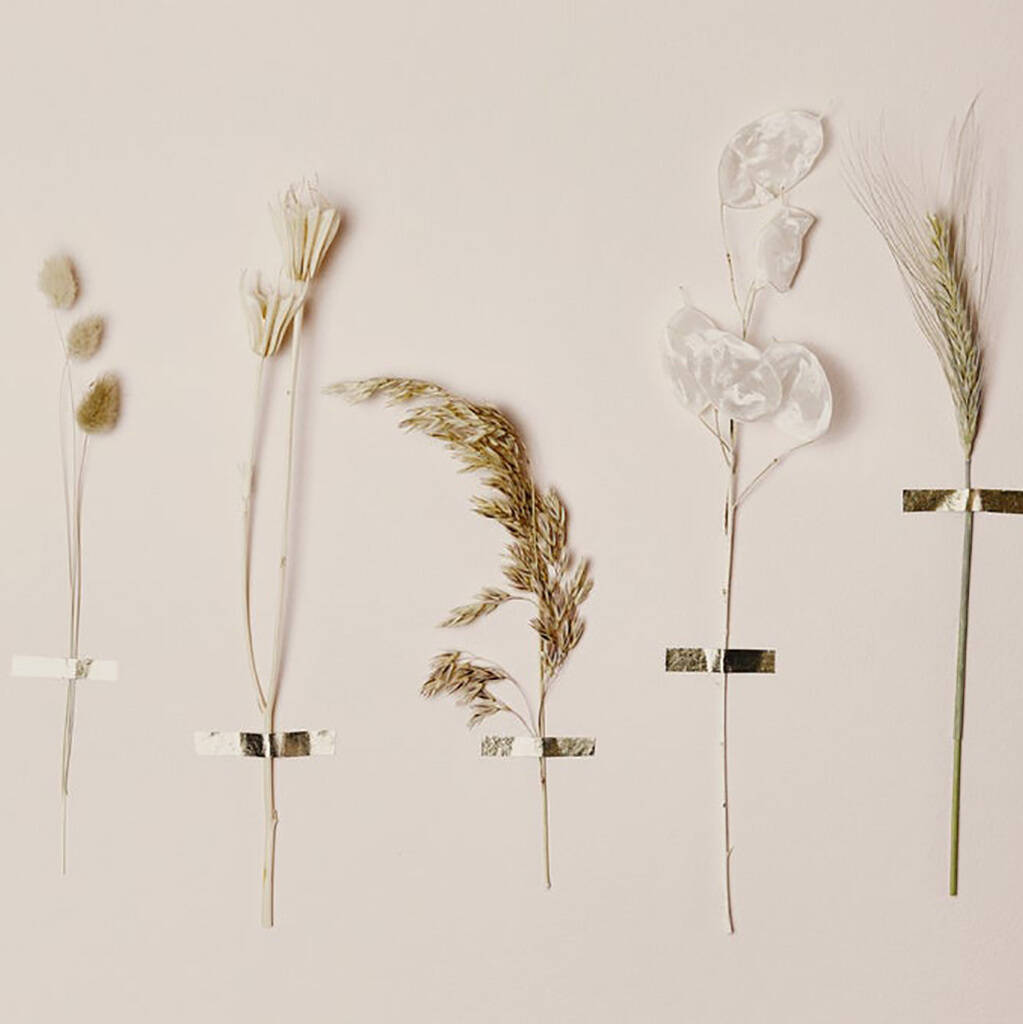 Diy Dried Flower Wall Decor Craft Kit By Sun and Day