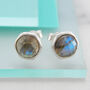 Round Labradorite Faceted Sterling Silver Stud Earrings, thumbnail 1 of 4