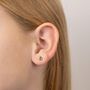 Girls Sterling Silver Diamond Ladybird Stud Earrings, thumbnail 3 of 6