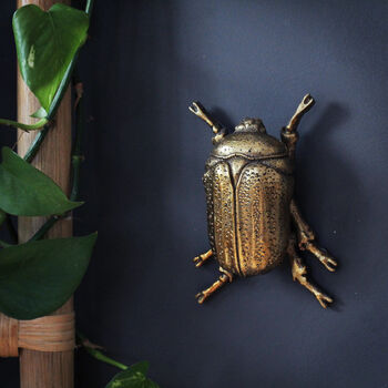 Gold Beetle Wall Ornaments, 3 of 10