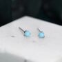 Genuine Turquoise Stone Stud Earrings Sterling Silver, thumbnail 4 of 12