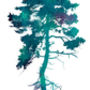 'Tree With Two Little Birds' Fine Art Giclee Print, thumbnail 3 of 7