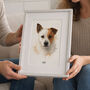 Personalised Pet Illustration Portrait Print, thumbnail 2 of 12