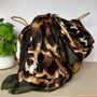 Leopard Print Scarf With Contrast Border In Khaki, thumbnail 1 of 4