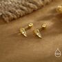Sterling Silver Bird Skull Screw Back Earrings, thumbnail 2 of 12