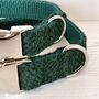 Forest Green Harris Tweed Dog Collar, thumbnail 4 of 4