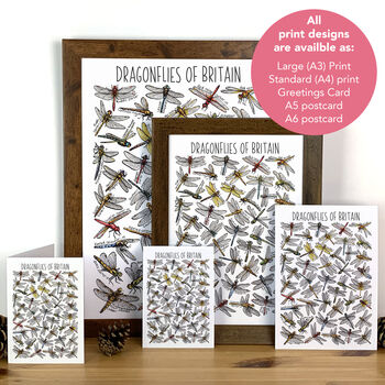 Dragonflies Of Britain Greeting Card, 2 of 7