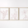 Set Of Three Contemporary Floral Art Prints, thumbnail 3 of 8