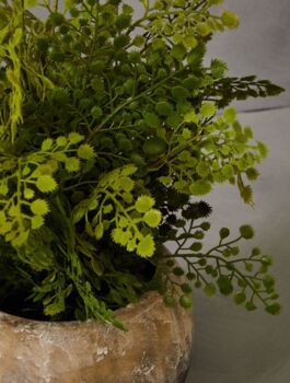 Faux Fern In Dipped Cement Pot, 2 of 4