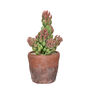 Artificial Succulent Plant In Pot, thumbnail 3 of 6