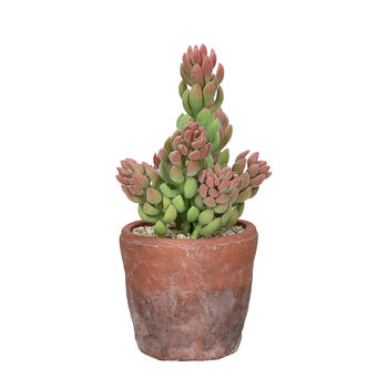 Artificial Succulent Plant In Pot, 3 of 6
