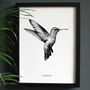 Encyclopaedic Inspired Fine Art Print, Hummingbird, thumbnail 1 of 9