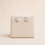 Sterling Silver Ammonite Fossil Stud Earrings, thumbnail 3 of 9