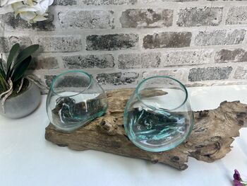 Teak Root Wooden Display With Double Molten Glass Bowls, 4 of 11