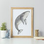Humpback Whales Set Of Two Unframed Prints, thumbnail 5 of 6