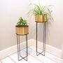 Copper Plant Stand Two Sizes, thumbnail 1 of 4