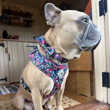 Candy Floral Adjustable Padded Dog Harness, 2 of 10