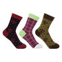 Women’s Socks Bundle – Circle, thumbnail 1 of 4