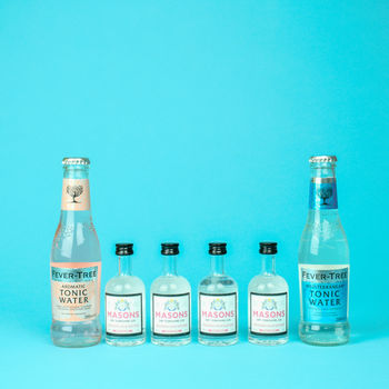 Make Your Own Gin And Tonic Set With Masons Gin, 2 of 6