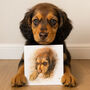 Personalised Watercolour Pet Illustration Portrait, thumbnail 8 of 12