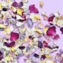 Rainbow Confetti | Biodegradable Rose Petals, thumbnail 1 of 3