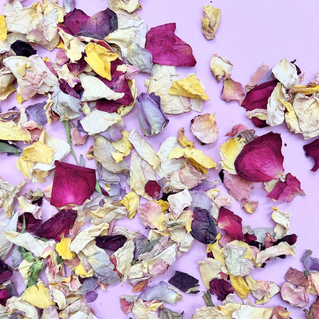 Rainbow Confetti | Biodegradable Rose Petals, 1 of 3