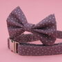 Purple Star Dog Bow Tie, thumbnail 4 of 8