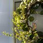 Large Pussy Willow Wreath, thumbnail 3 of 6
