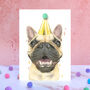 French Bulldog Pompom Birthday Card, thumbnail 1 of 1