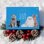 I Am Zat Cat ~ Gift For Cat Lovers Of All Ages / Game About Cats / Cat Themed Gift / Fun Game For Christmas Eve Box, thumbnail 1 of 9