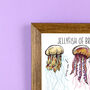 Jellyfish Of Britain Wildlife Print, thumbnail 6 of 10