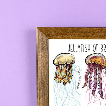 Jellyfish Of Britain Wildlife Print, 6 of 10