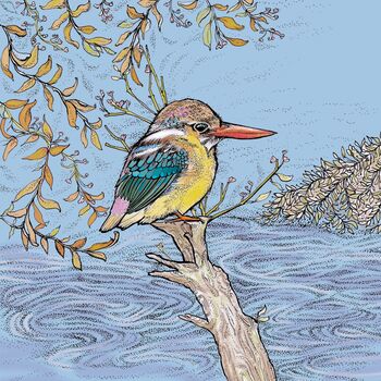 'Dwarf Kingfisher' Print, 3 of 3